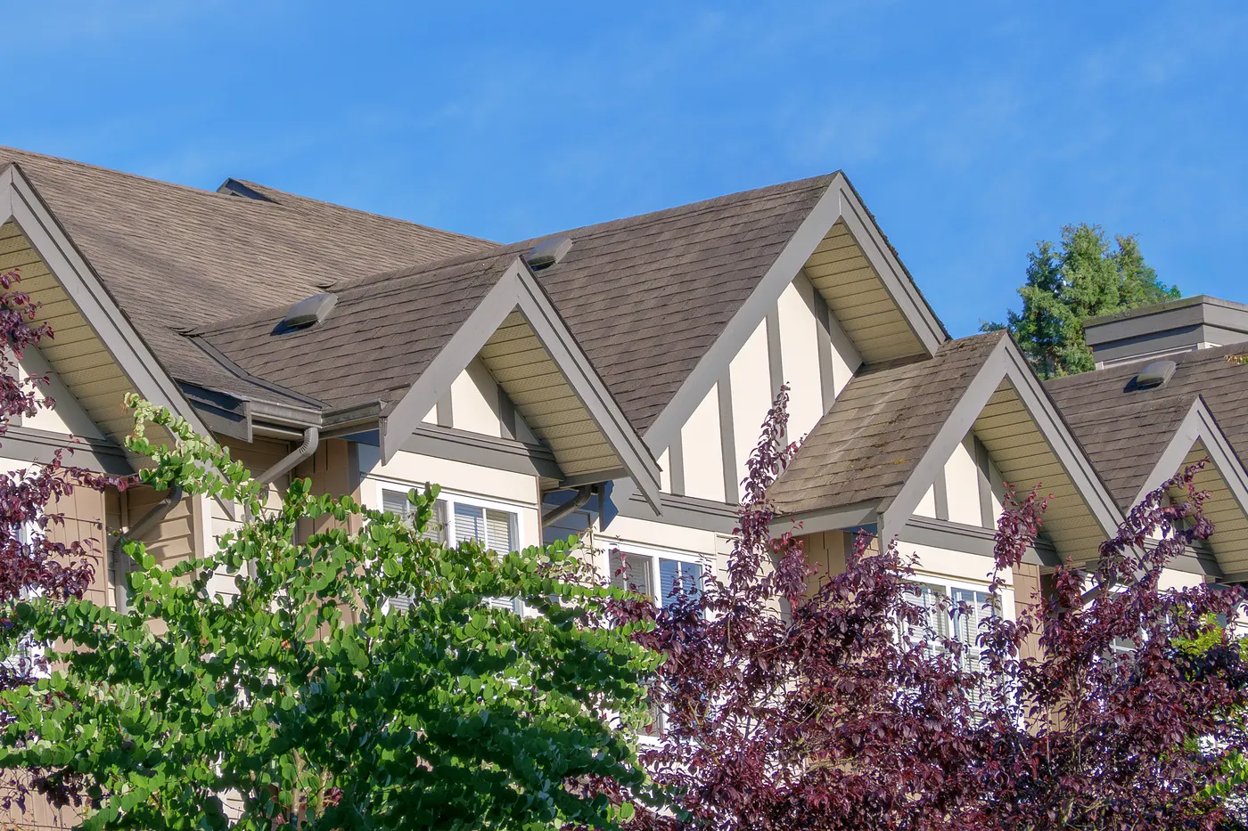 A row of gabled homes with new shingle roofs